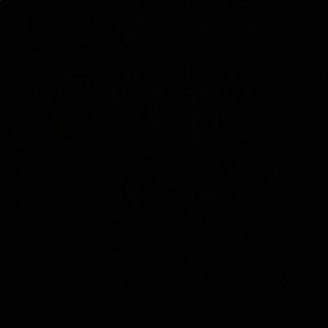 Meet your Posher, Jamari